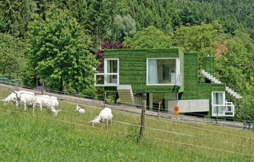 Dom z zieloną fasadą we Frohnleiten - ghb.pl - mat.budowlane14